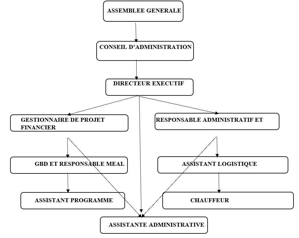 organigramme
